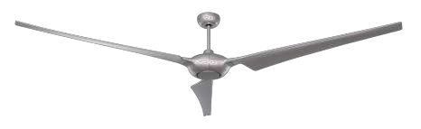 Image51